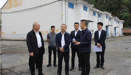 市國資委調研督導興業集團經營管理工作